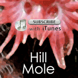 Hill Mole Podcast via iTunes